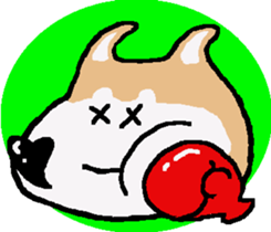 Shiba inu MOMO chan the third as well! 5 sticker #7771903