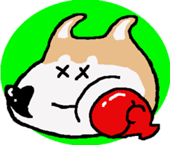 Shiba inu MOMO chan the third as well! 5 sticker #7771903