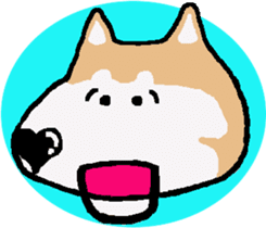 Shiba inu MOMO chan the third as well! 5 sticker #7771905