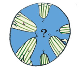 House cactus sticker #7772187