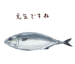 Thunnus2 sticker #7774965