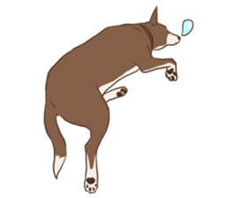 Khao-mao sticker #7775511