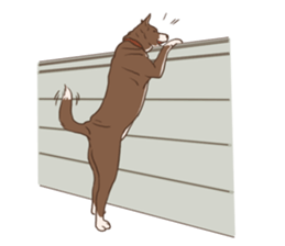 Khao-mao sticker #7775516