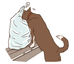 Khao-mao sticker #7775519