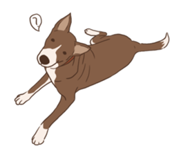 Khao-mao sticker #7775522