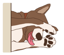 Khao-mao sticker #7775524