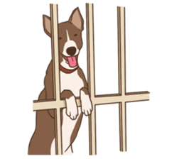 Khao-mao sticker #7775525