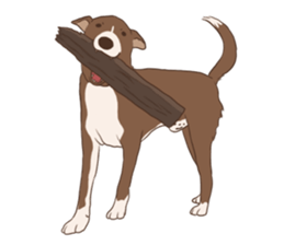 Khao-mao sticker #7775533