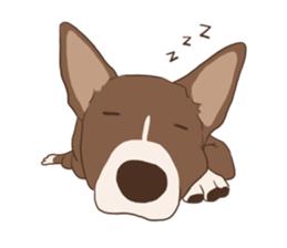 Khao-mao sticker #7775534