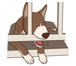 Khao-mao sticker #7775535