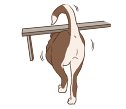 Khao-mao sticker #7775537