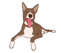 Khao-mao sticker #7775539