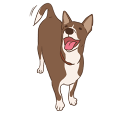 Khao-mao sticker #7775540