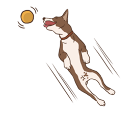 Khao-mao sticker #7775542