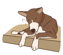 Khao-mao sticker #7775544