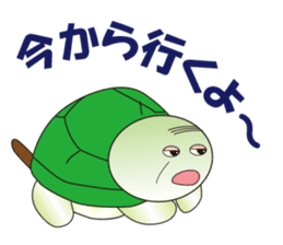 Daily conversation turtle old man sticker #7776325