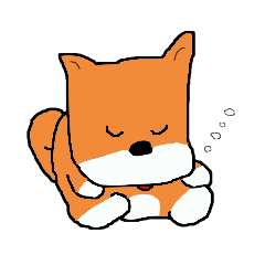 Shiba chan Tsundere Shiba Inu