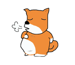 Shiba chan Tsundere Shiba Inu sticker #7776922