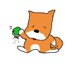 Shiba chan Tsundere Shiba Inu sticker #7776923