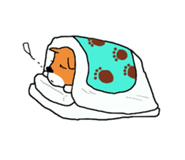 Shiba chan Tsundere Shiba Inu sticker #7776940