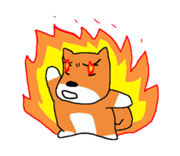 Shiba chan Tsundere Shiba Inu sticker #7776941