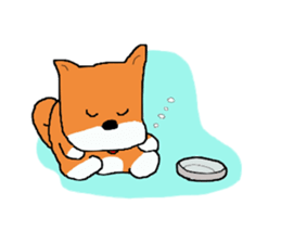 Shiba chan Tsundere Shiba Inu sticker #7776942