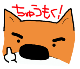 Shiba chan Tsundere Shiba Inu sticker #7776943
