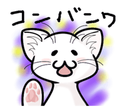 Dimly Cat @ White sticker #7778110