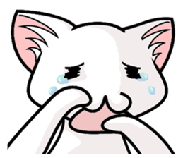 Dimly Cat @ White sticker #7778116