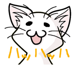 Dimly Cat @ White sticker #7778118