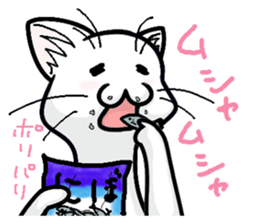 Dimly Cat @ White sticker #7778137