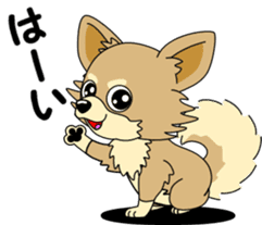 Cute Chihuahua dog sticker #7779908