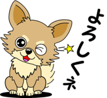 Cute Chihuahua dog sticker #7779909