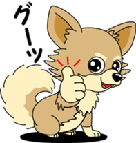 Cute Chihuahua dog sticker #7779910
