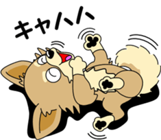 Cute Chihuahua dog sticker #7779915