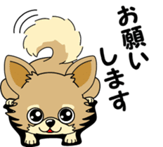 Cute Chihuahua dog sticker #7779916