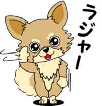 Cute Chihuahua dog sticker #7779917