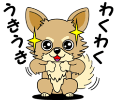 Cute Chihuahua dog sticker #7779918