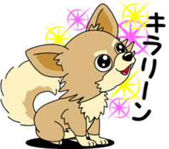 Cute Chihuahua dog sticker #7779919