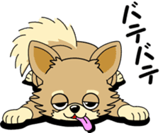 Cute Chihuahua dog sticker #7779921