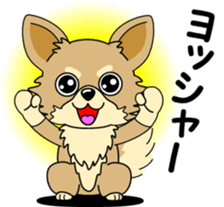 Cute Chihuahua dog sticker #7779922
