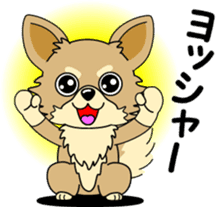 Cute Chihuahua dog sticker #7779922
