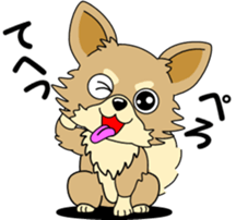 Cute Chihuahua dog sticker #7779927