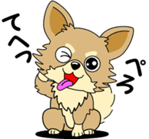 Cute Chihuahua dog sticker #7779927