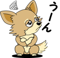 Cute Chihuahua dog sticker #7779928