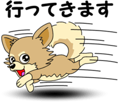 Cute Chihuahua dog sticker #7779932