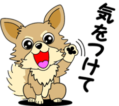 Cute Chihuahua dog sticker #7779933
