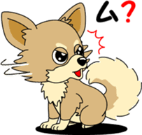 Cute Chihuahua dog sticker #7779934