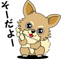 Cute Chihuahua dog sticker #7779937
