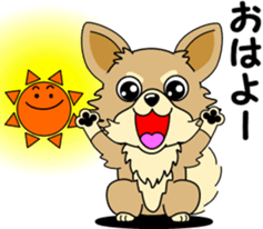 Cute Chihuahua dog sticker #7779940